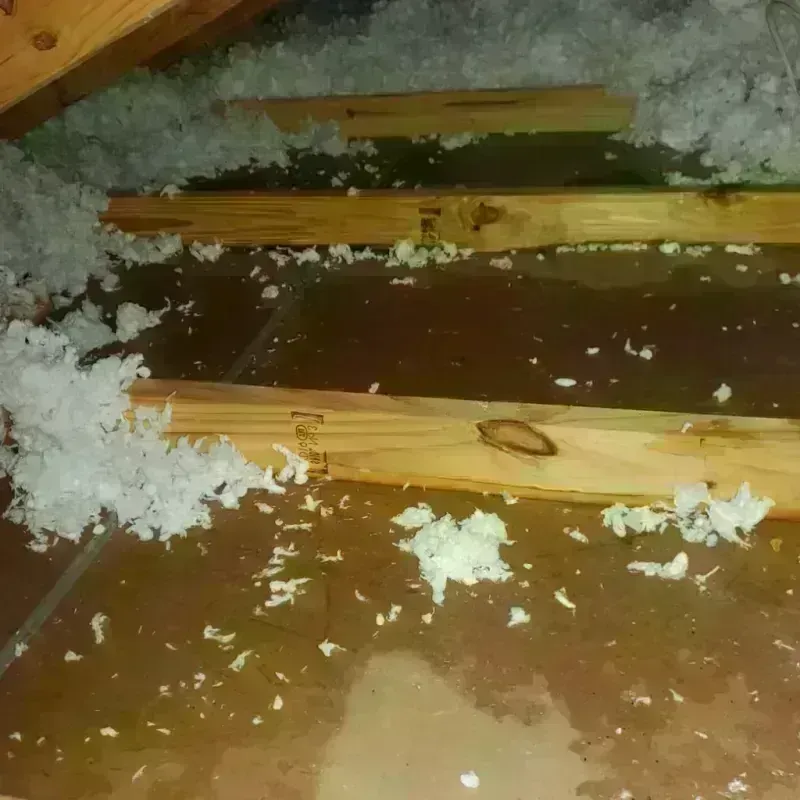 Attic Water Damage in Mason City, IL