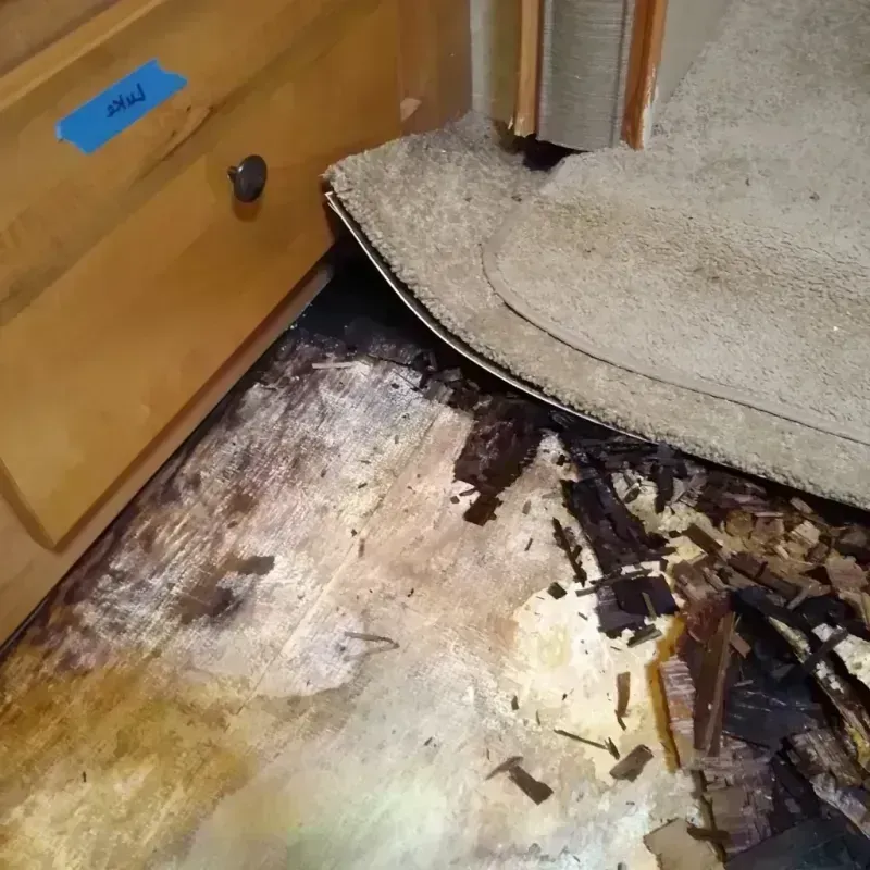 Wood Floor Water Damage in Mason City, IL